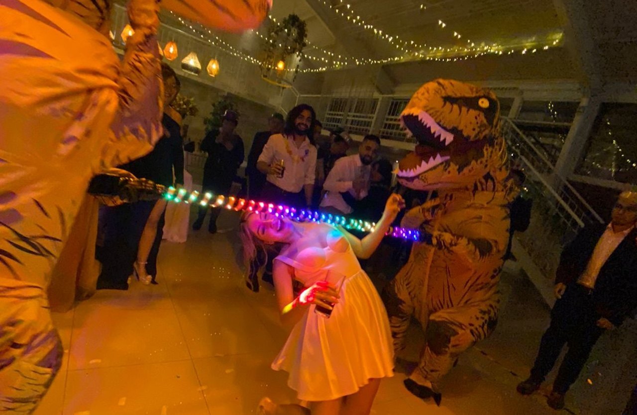DinoParty · Imagen