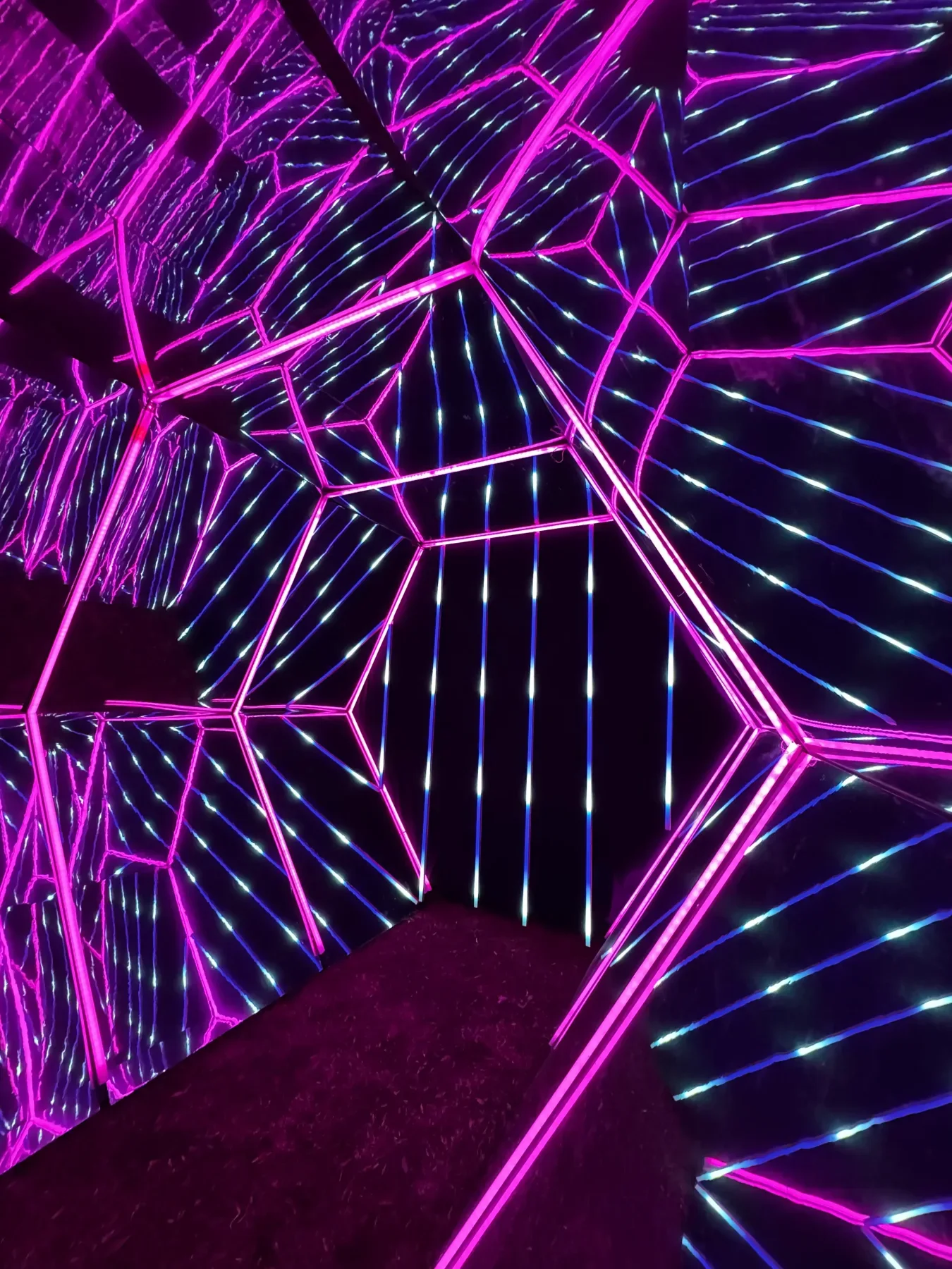 Caleido por Stellar Eventos